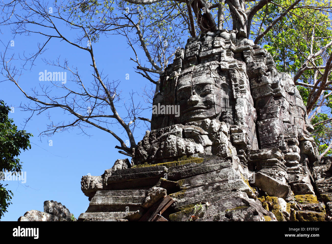 Haeds des Buddha über Eingang zu Preah Khan Tempel in Angkor, Kambodscha Stockfoto