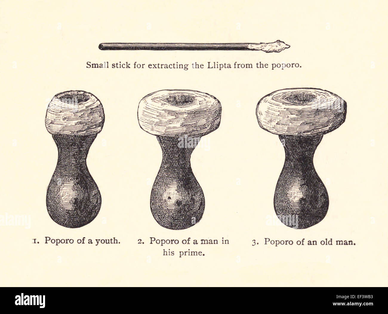 Requisiten, Coco Blätter kauen. Gravieren von kleinen Stick verwendet, um eine Poporo Kalk entziehen. Siehe Beschreibung für mehr Informationen. Stockfoto