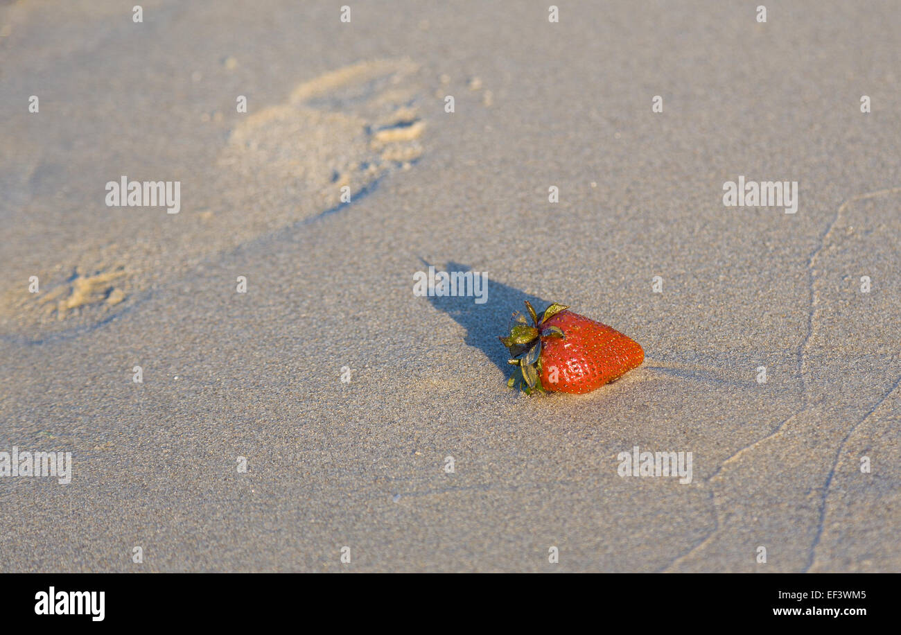 Erdbeere auf dem sand Stockfoto