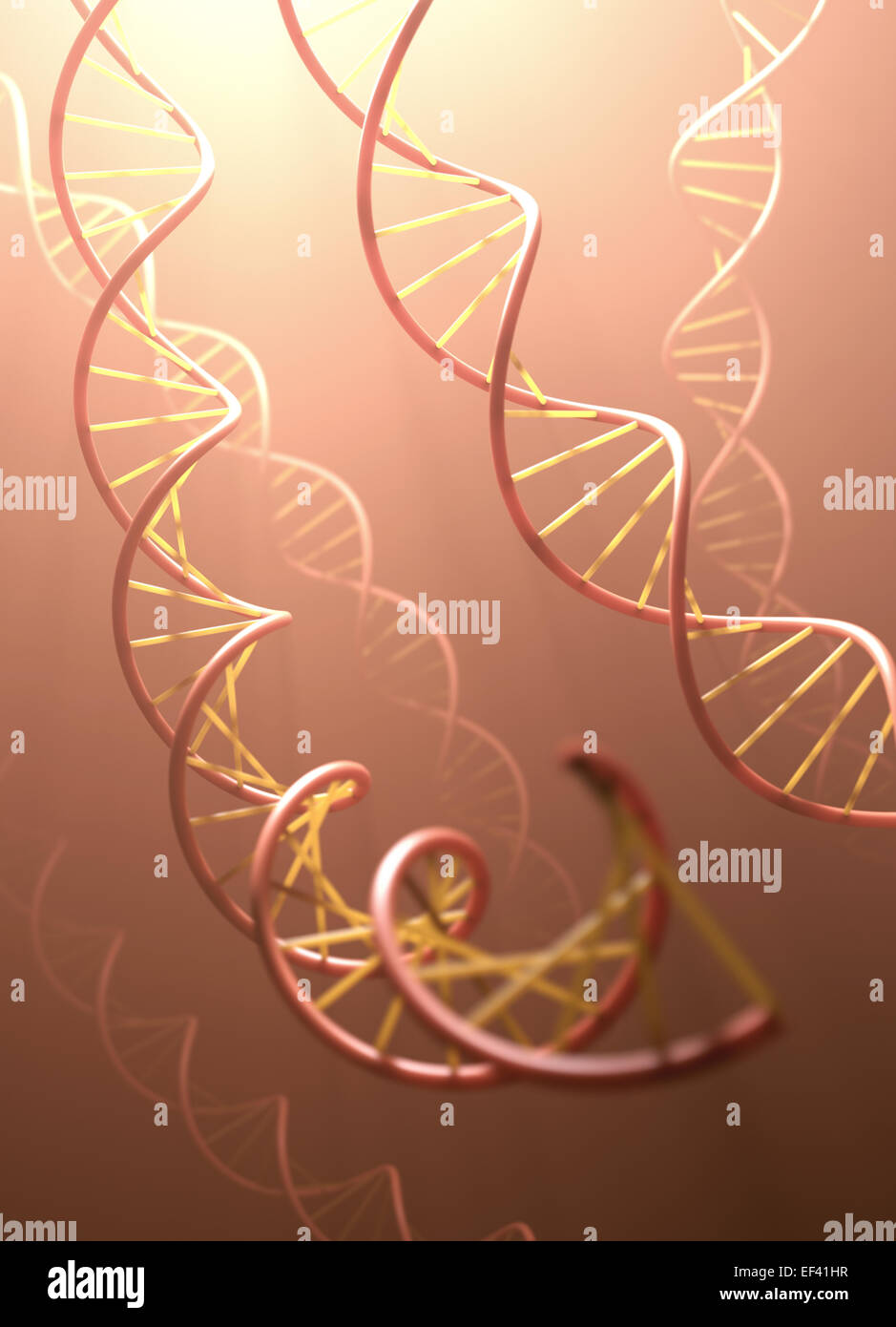 Lange Struktur der DNA-Doppelhelix in der Tiefe der Ansicht. Stockfoto