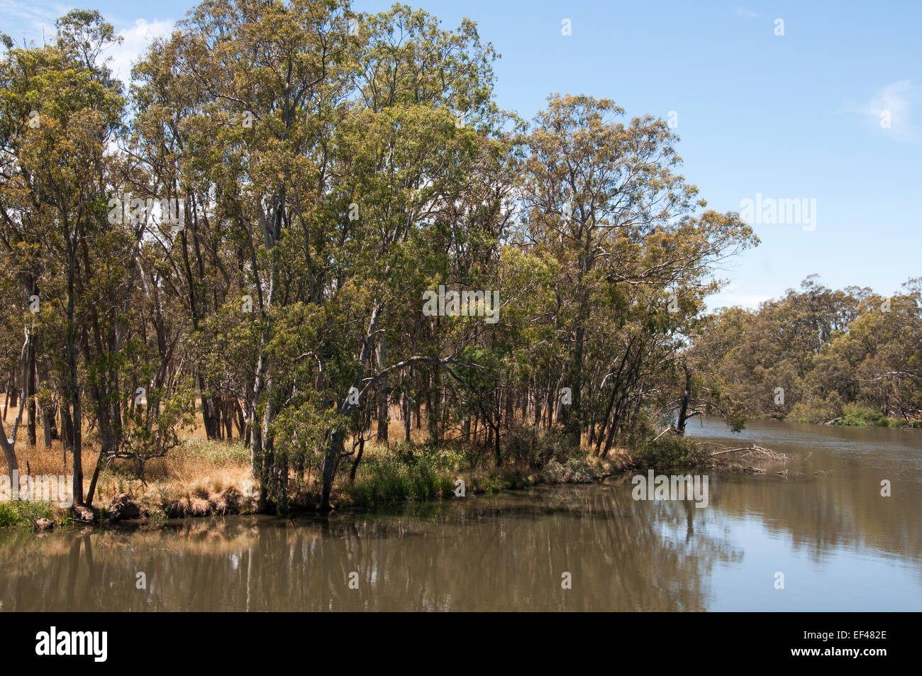 Goulburn River in Michelton Winery, Victoria, Australien Stockfoto