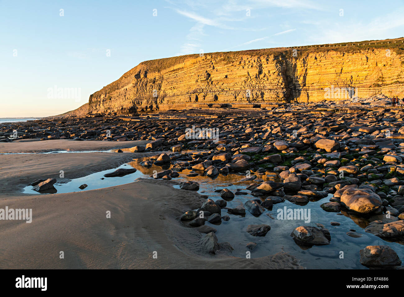 Klippen im Dunraven Bay, Glamorgan Heritage Coast, Wales, UK Stockfoto