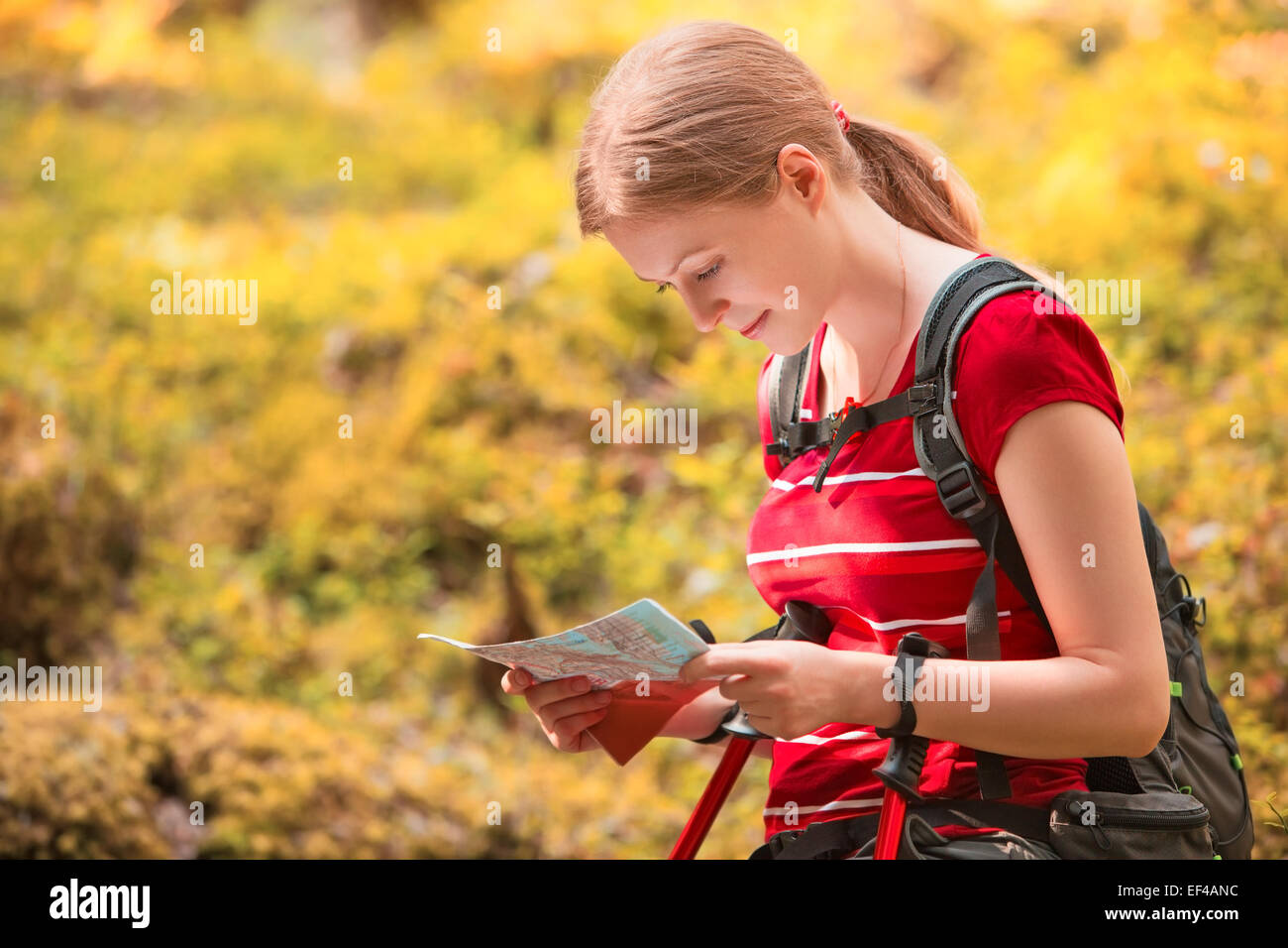 Junge Frau touristische Karte Porträt auf Wald-Hintergrund. Stockfoto