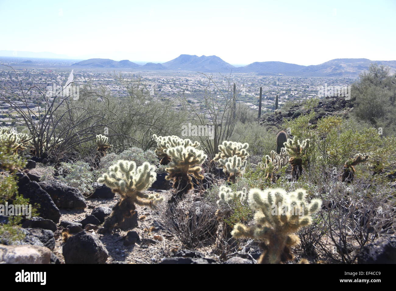 Aussicht von Deem Hügeln Wanderweg in Phoenix, Arizona Foto von Jen Lombardo Stockfoto