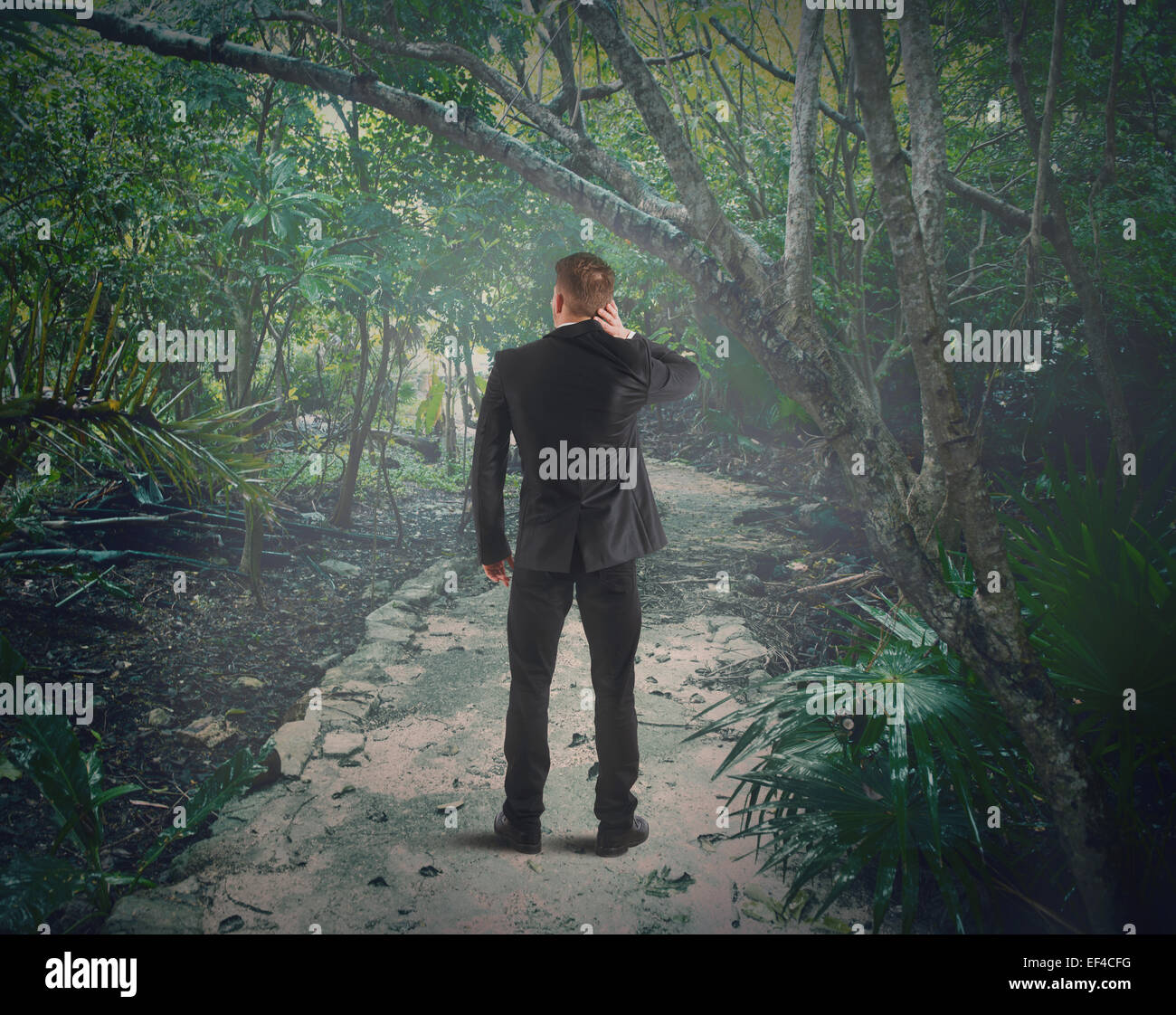 Verloren im Wald Stockfoto