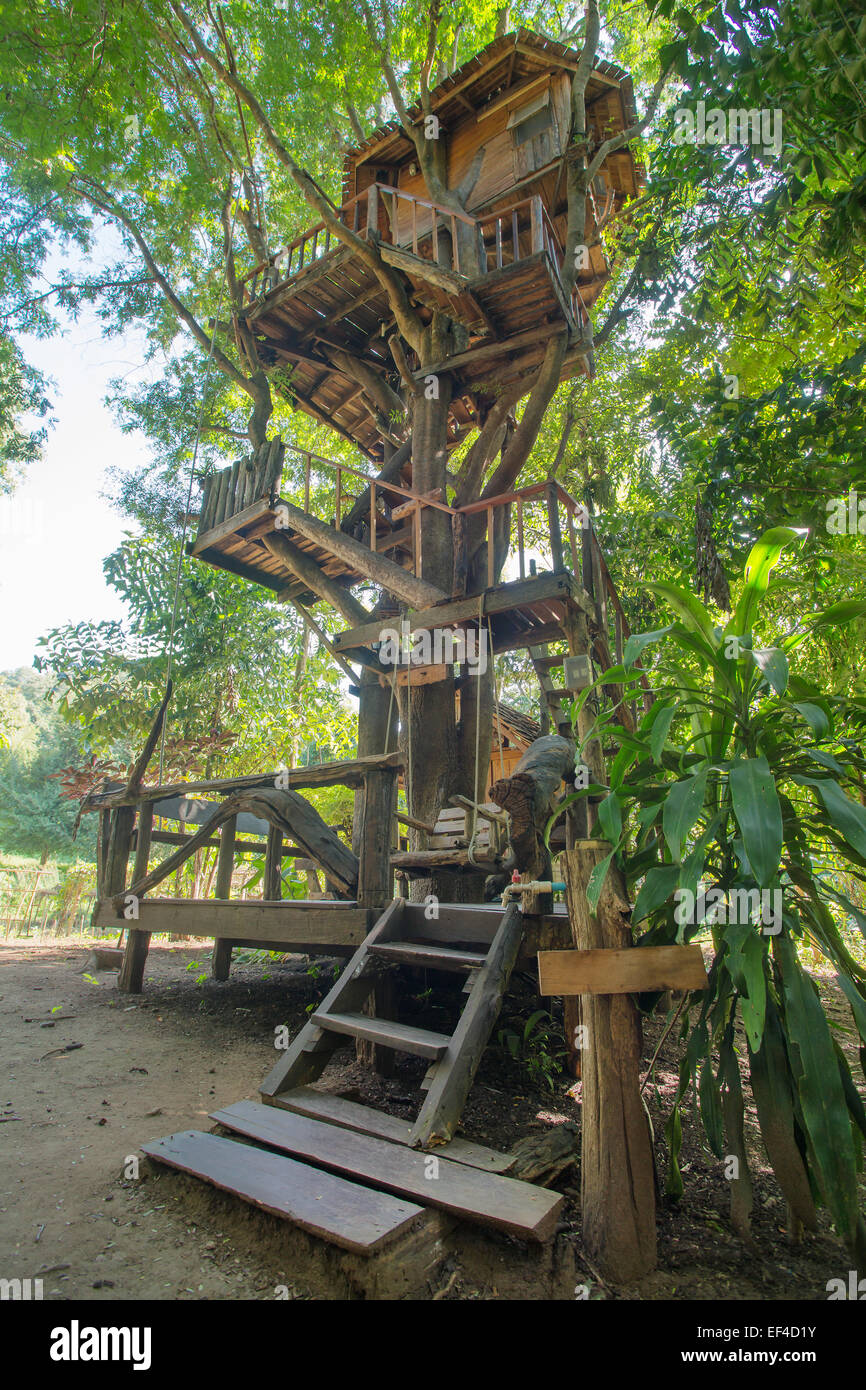 Wunderschönen Baumhaus in der Provinz Chiang Mai, Thailand Stockfoto