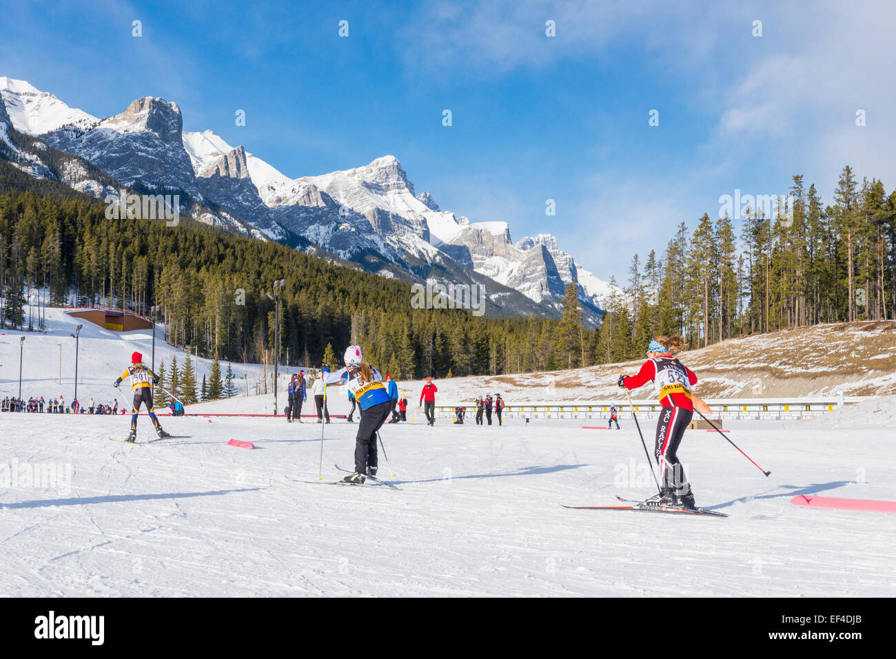 Skirennen in Canmore Nordic Centre Provincial Park, Canmore, Alberta, Kanada Stockfoto