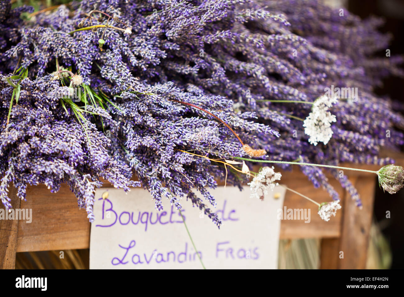 Lavendel Trauben in einen französischen Markt zu verkaufen. Horizontalen Schuss mit selektiven Fokus Stockfoto