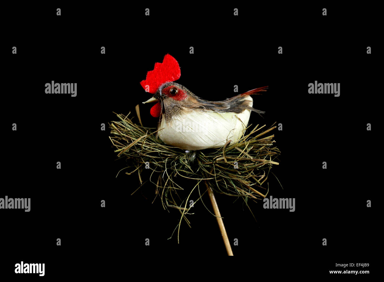Junggesellinnenabschied Huhn isoliert Heu Spielzeug Vogel Tiernatur Ostern Eiern Landschaft Hochzeitseinladung Stockfoto