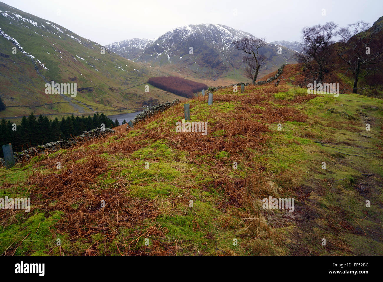 Haweswater im Lake District National Park, Cumbria Stockfoto