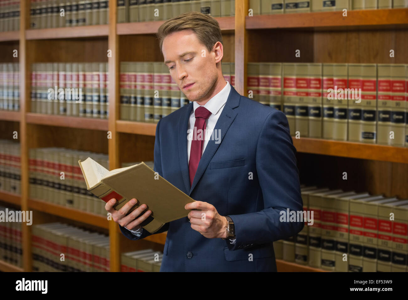 Gut aussehend Rechtsanwalt in der juristischen Bibliothek Stockfoto