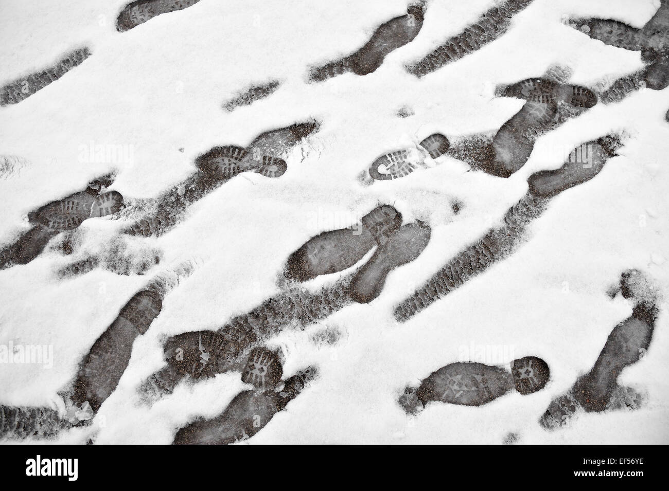 Verschiedene Arten von Spuren im Schnee Stockfoto