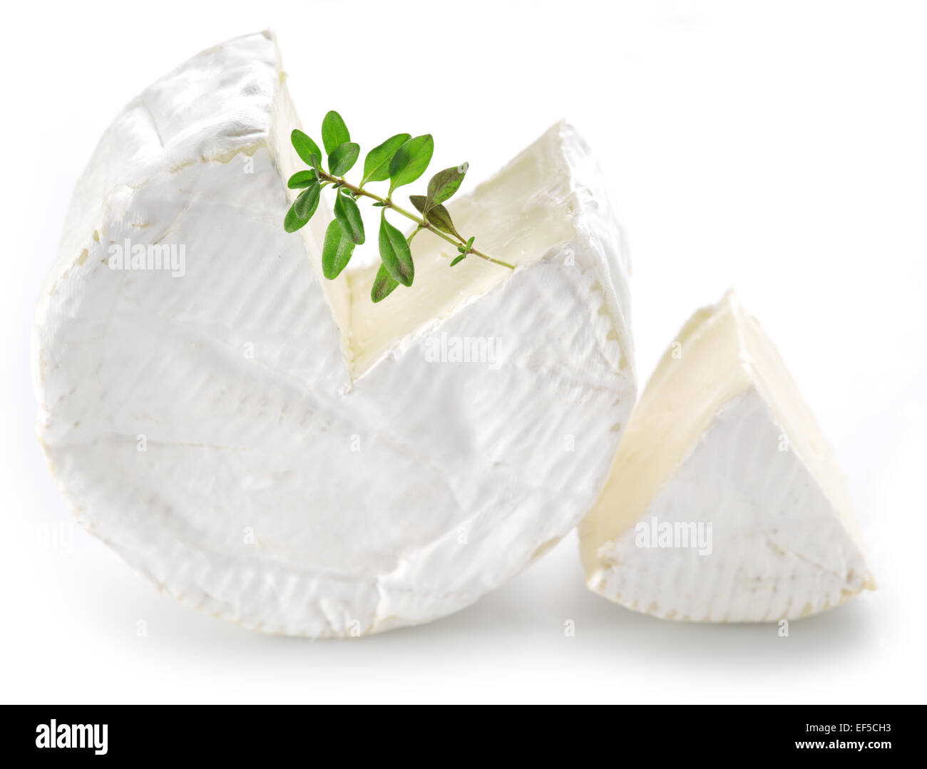 Camembert Käse isoliert auf einem weißen Hintergrund. Stockfoto