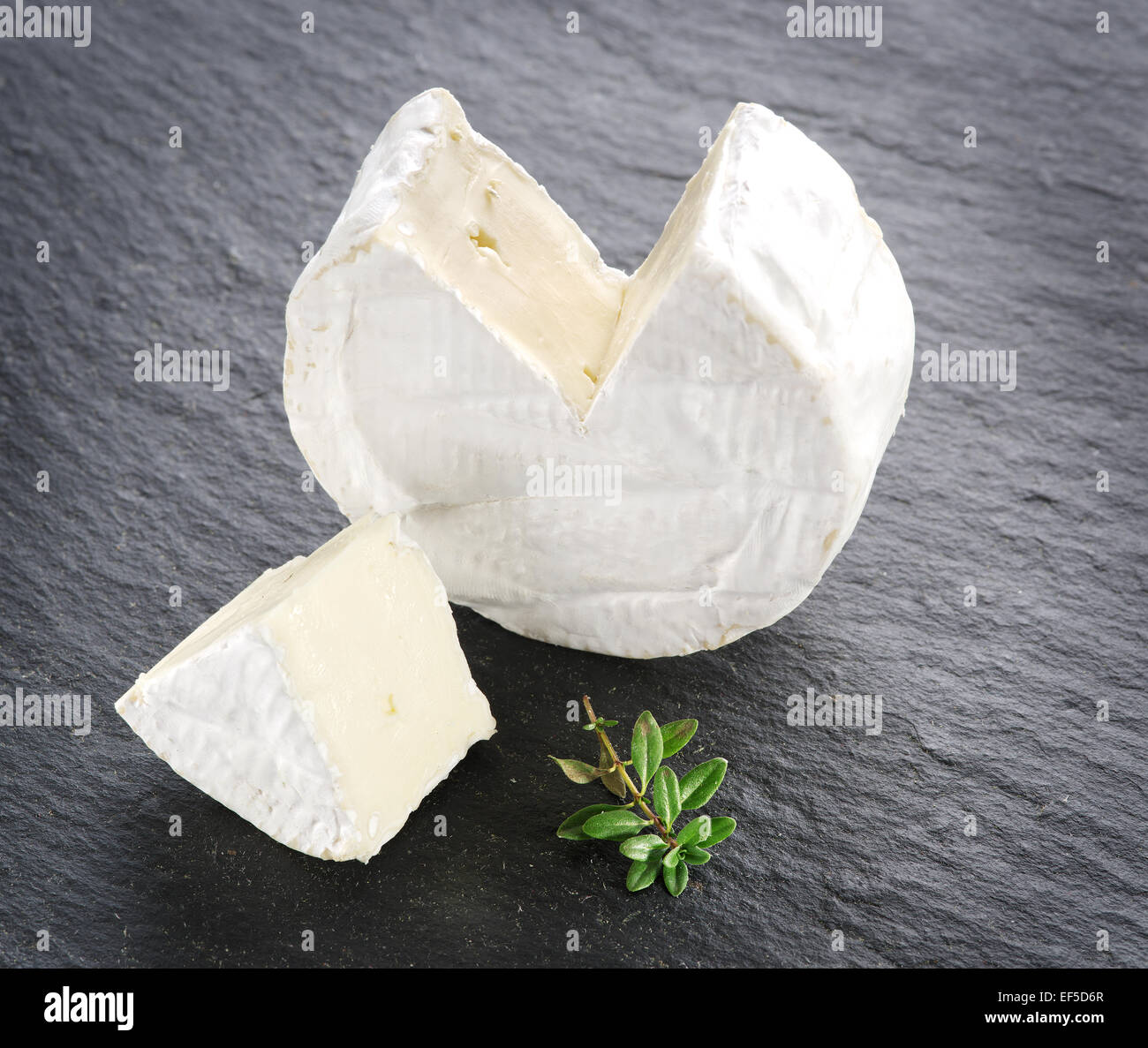 Camembert Käse auf die graue Steinoberfläche. Stockfoto