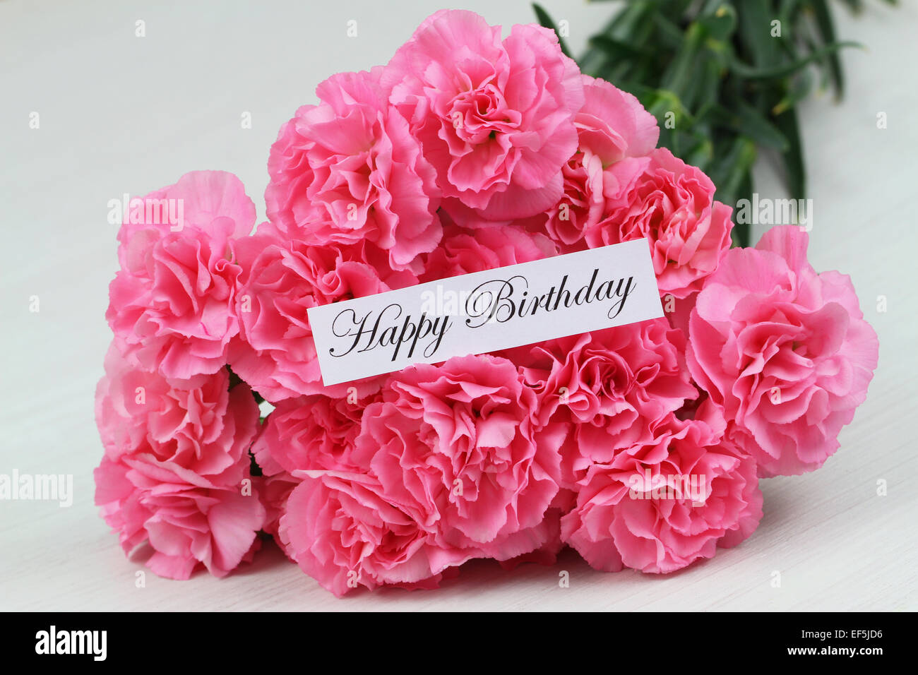 Happy Birthday Card mit rosa Nelken Stockfoto