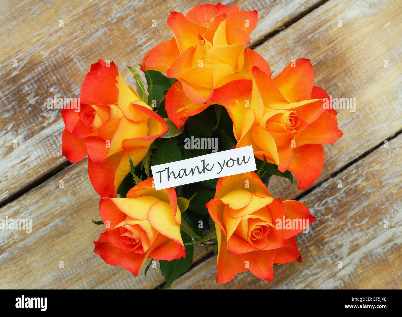 Dankeschön-Karte mit Rosenstrauß Stockfoto