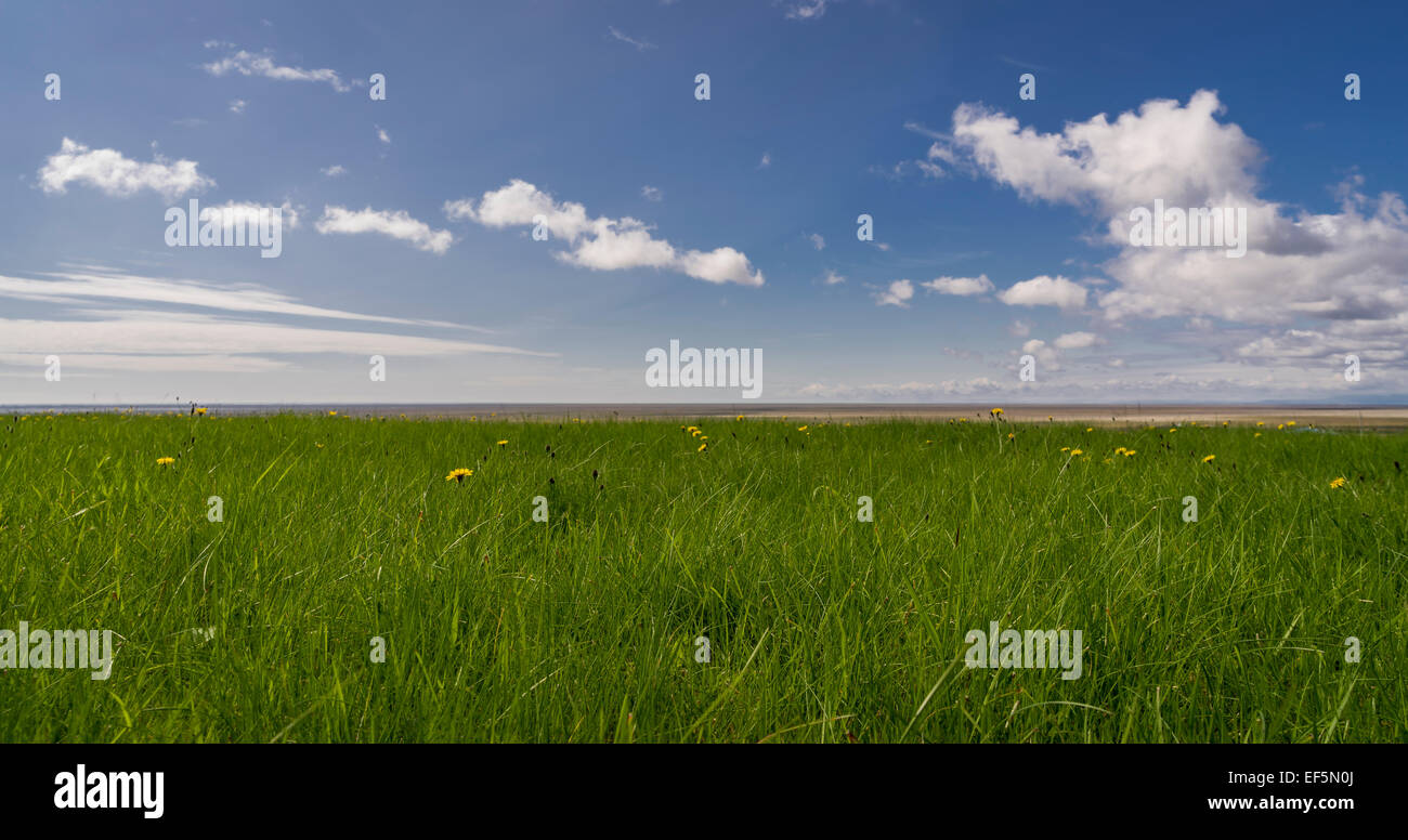 Sommertag mit blauem Himmel, geschwollenen Wolken und Wiesen, Eastern, Island Stockfoto
