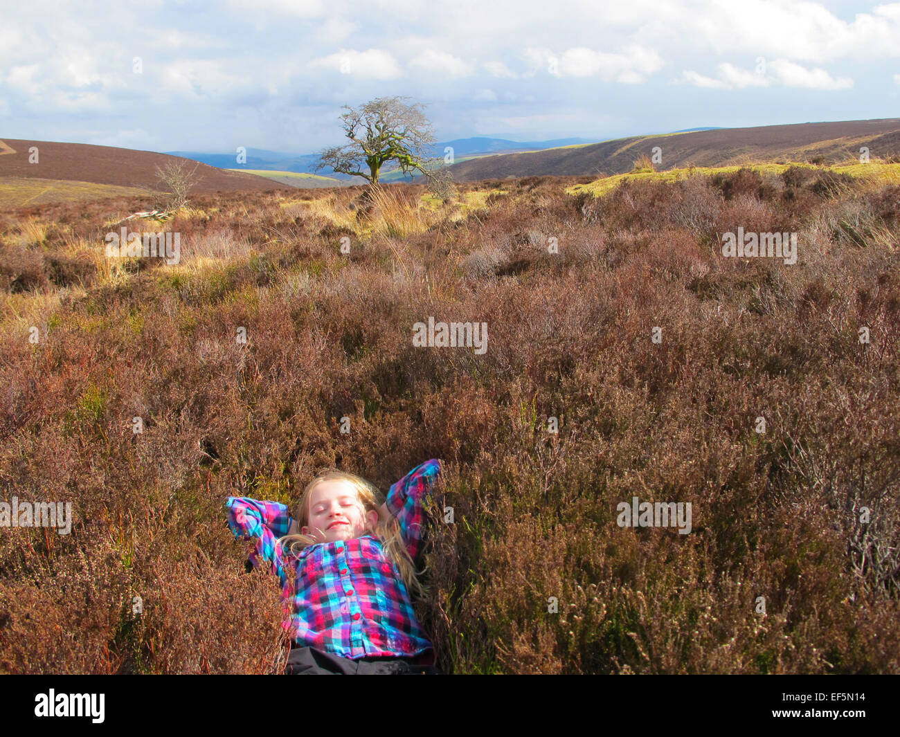 Wanderungen North Devon Stockfoto