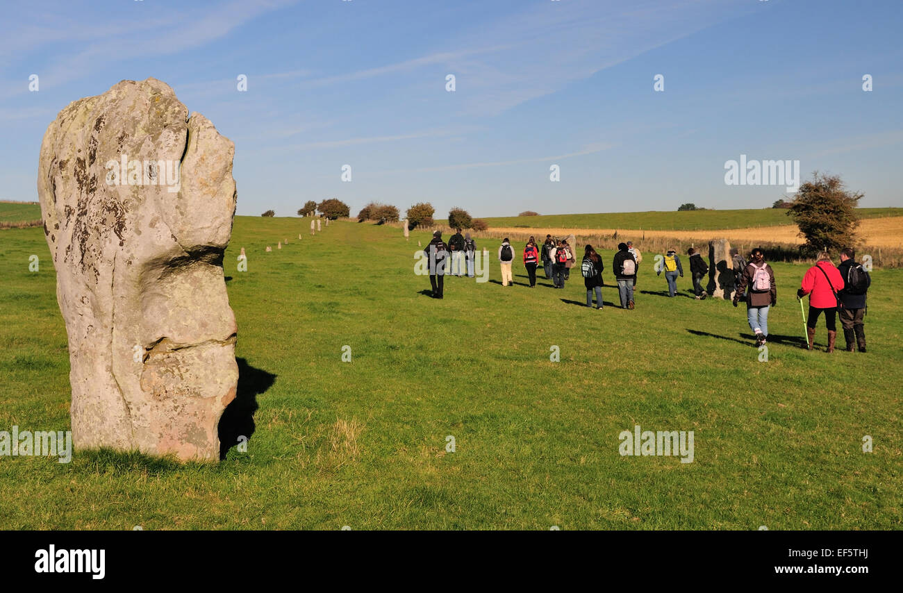 Stehenden Steinen entlang der West Kennett Avenue, Teil des UNESCO-Welterbe von Avebury. Stockfoto