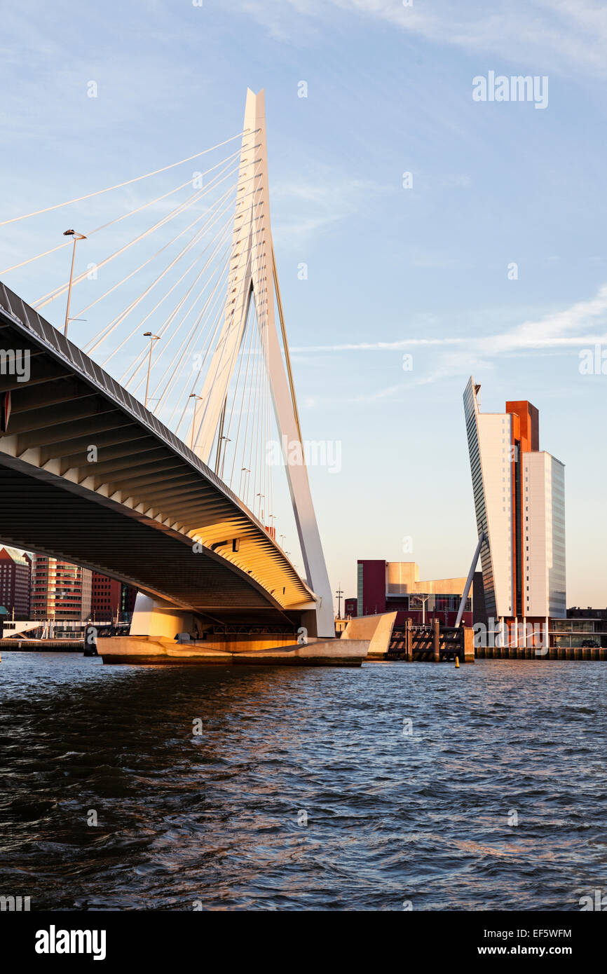 Erasmusbrücke in Rotterdam, Zuid-Holland, Niederlande. Stockfoto