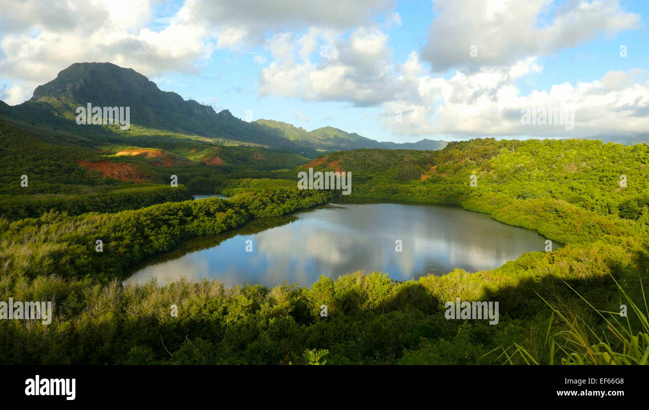 Menehune Fischteich, Kauai, Hawaii Stockfoto