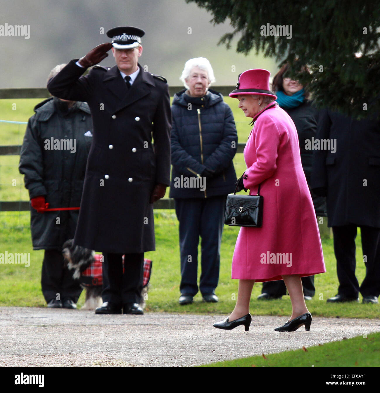 Sandringham, Norfolk, Großbritannien. 25. Januar 2015. HM Königin Elizabeth II zur Kirche in Sandringham. Sandringham, Norfolk, Großbritannien. 25. Stockfoto