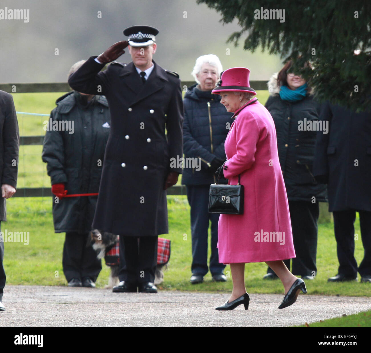 Sandringham, Norfolk, Großbritannien. 25. Januar 2015. HM Königin Elizabeth II zur Kirche in Sandringham. Sandringham, Norfolk, Großbritannien. 25. Stockfoto