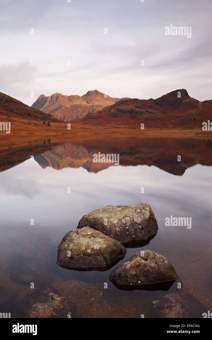Sanftes Licht taucht das saisonabhängige, da diese in der in der Nähe von perfekt "Weiher" wie Bedingungen Blea Tarn wiedergibt. Stockfoto