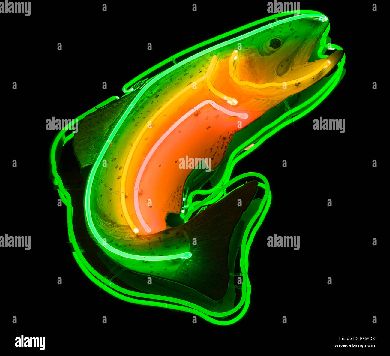 Forellen-Leuchtreklame. Neon Fische an der Fassade eines Angler-Stores in Cody, Wyoming. Stockfoto
