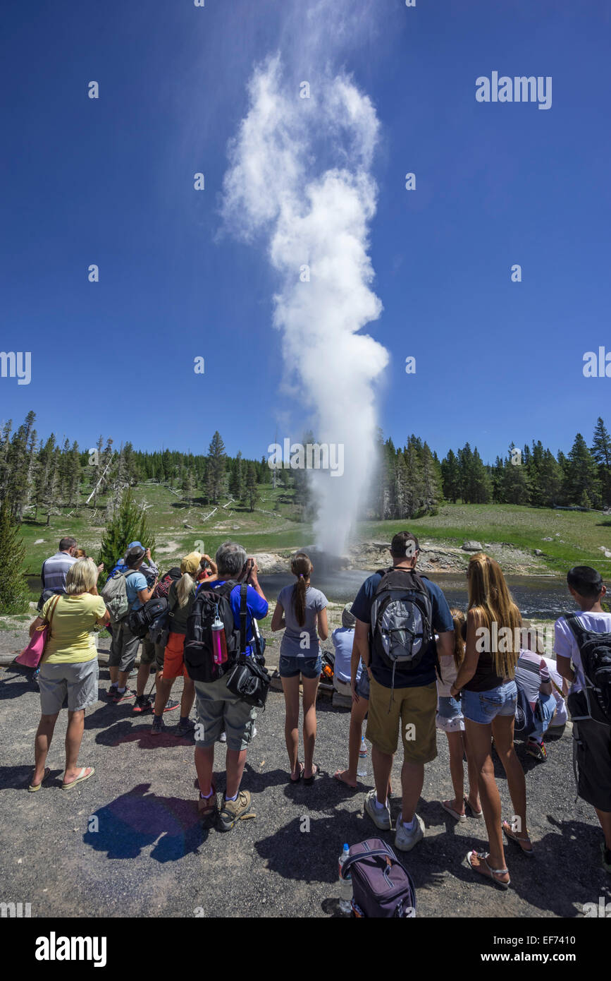 Touristen beobachten die Eruption des Riverside Geyser, Yellowstone National Park, Wyoming, USA Stockfoto