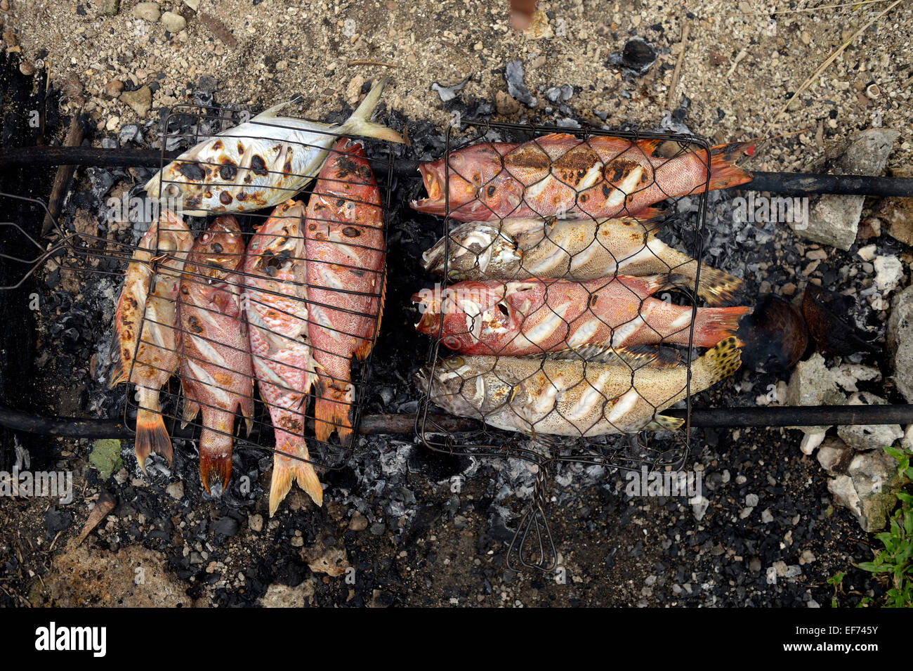 Fische sind über glühende Kohlen, Simeulue, Indonesien gekocht. Stockfoto