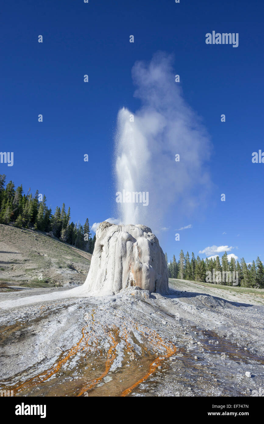 Lone Star Geyser, Yellowstone National Park, Wyoming, USA Stockfoto