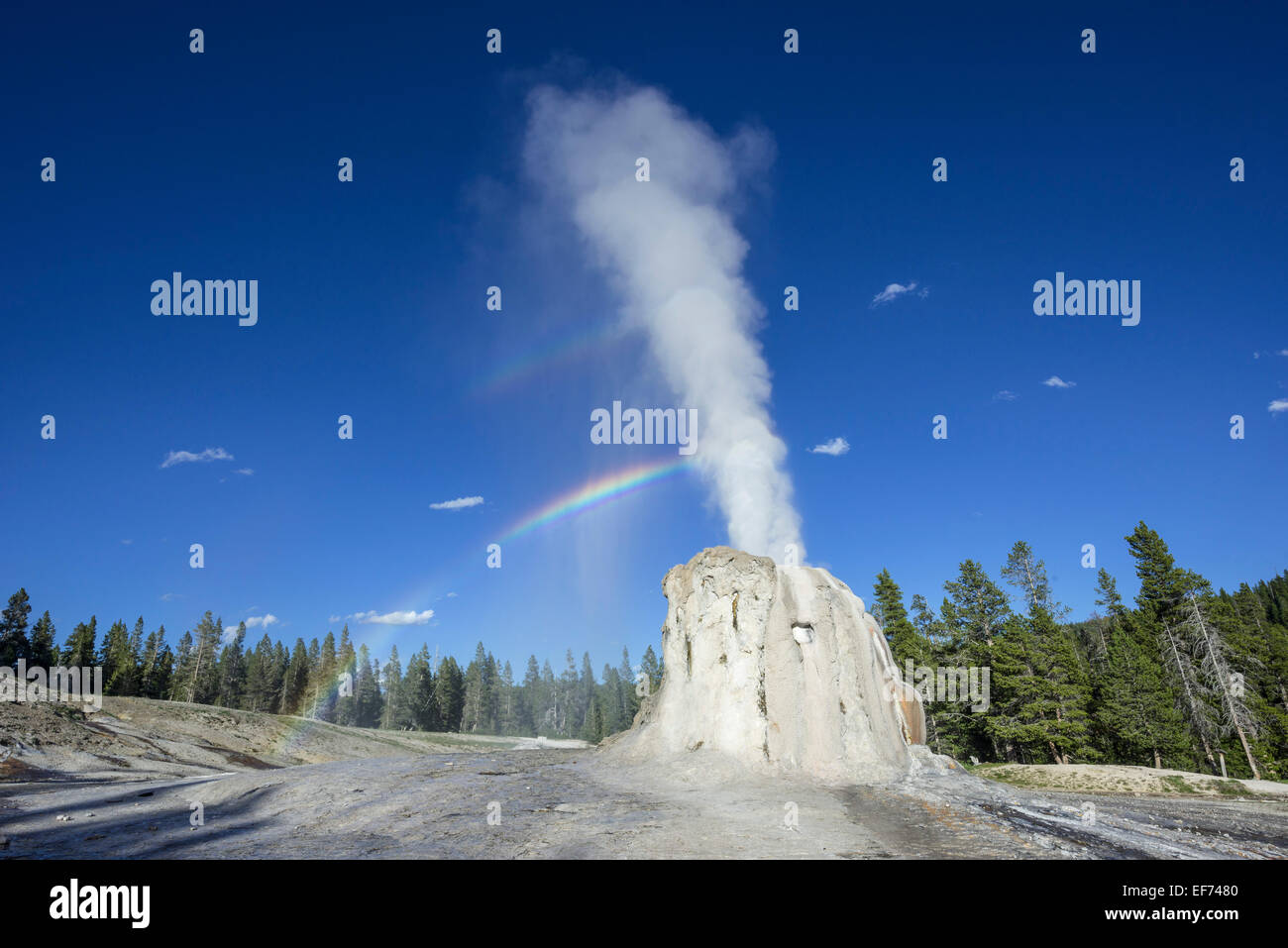 Lone Star Geyser, Yellowstone National Park, Wyoming, USA Stockfoto