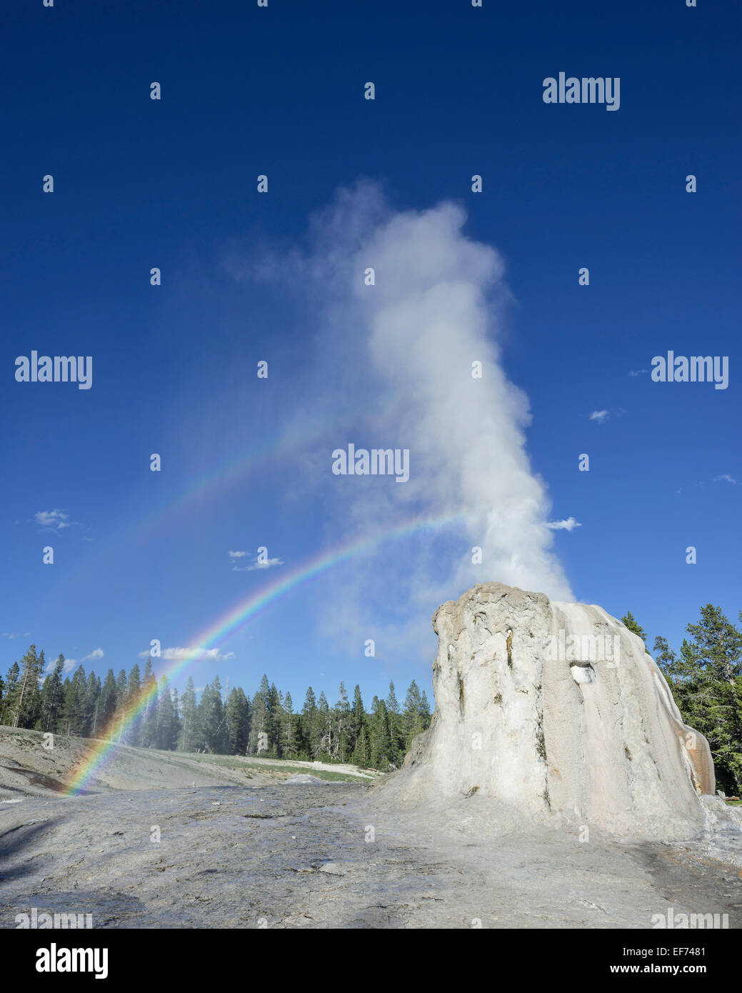Lone Star Geyser, Yellowstone National Park, Wyoming, USA Stockfoto