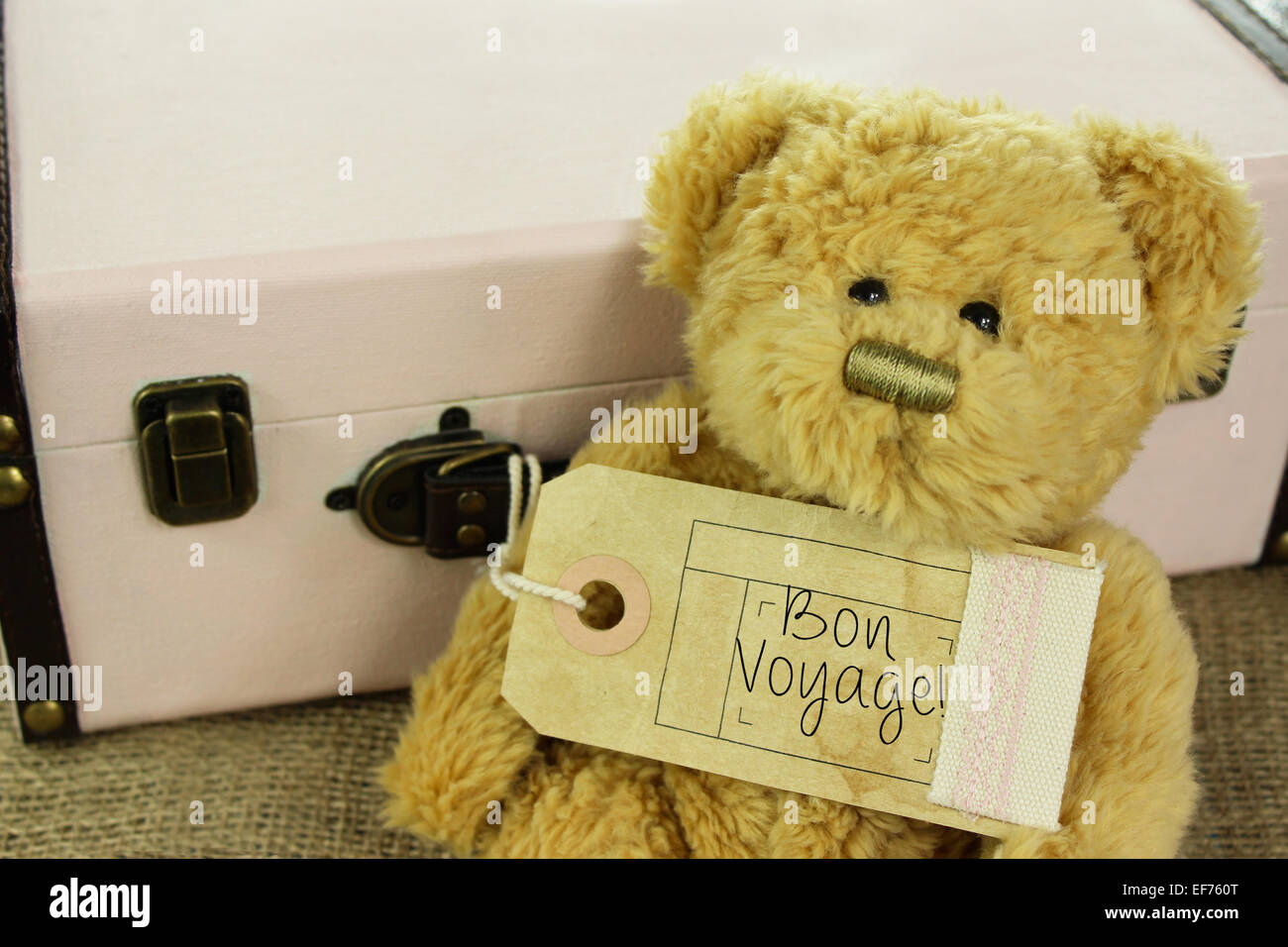 Teddybär mit Vintage Koffer und "Bon voyage!" auf Gepäckanhänger. Stockfoto