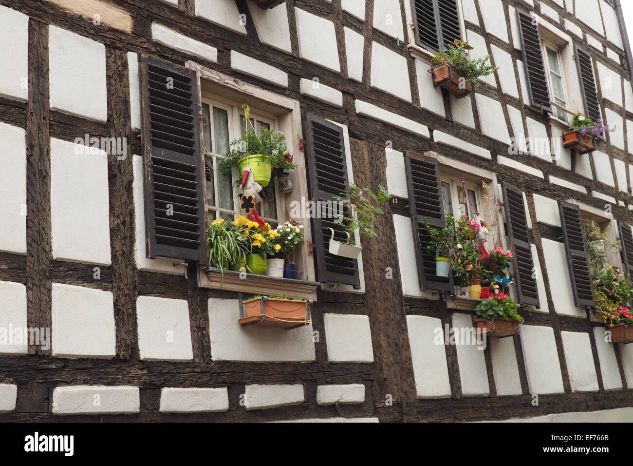 Blumenkästen und Fensterläden auf Holz gerahmt Gebäude, Straßburg, Frankreich. Stockfoto