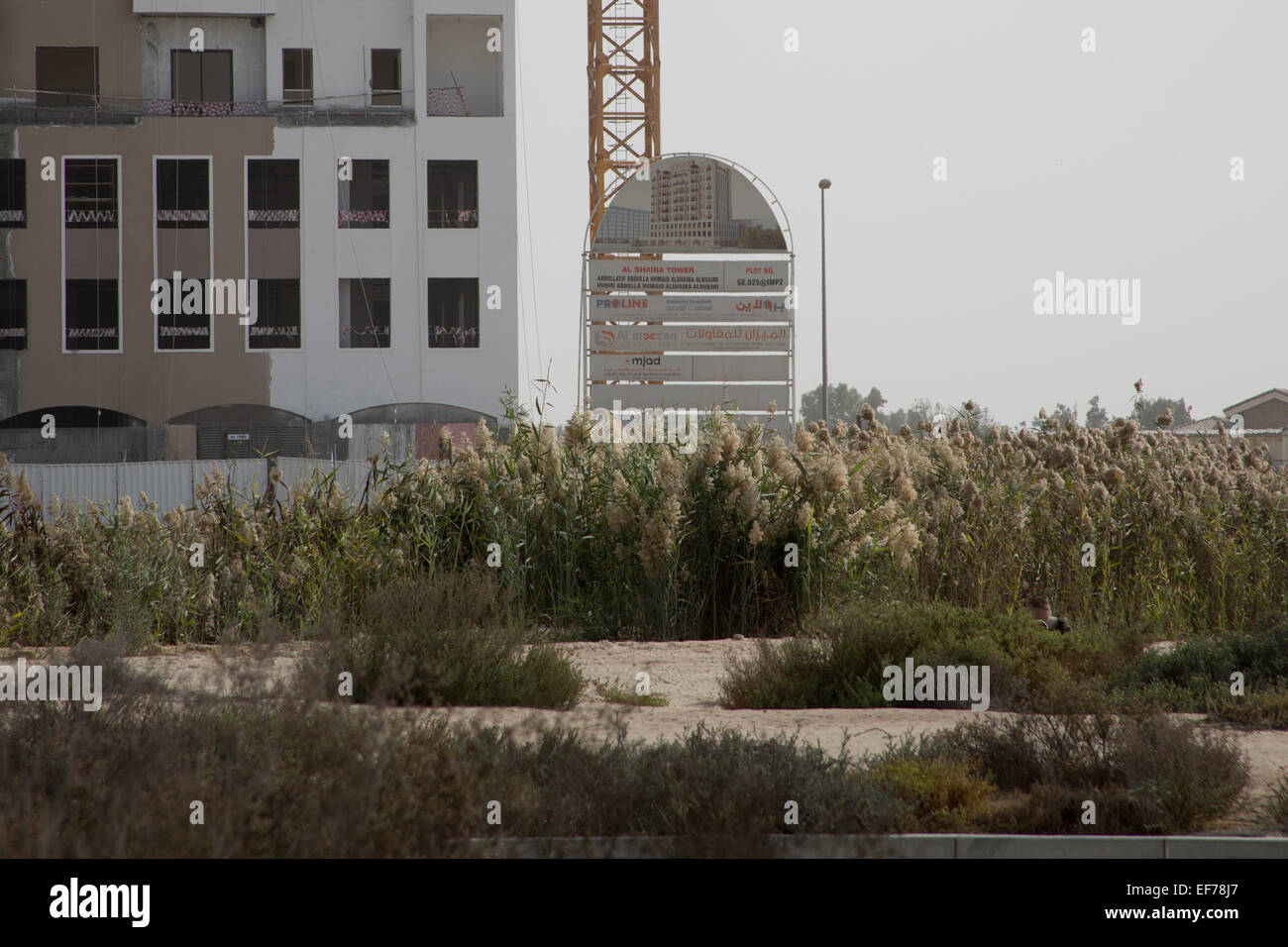 Al Shaiba Tower Baustelle IMPZ Dubai Vereinigte Arabische Emirate Stockfoto