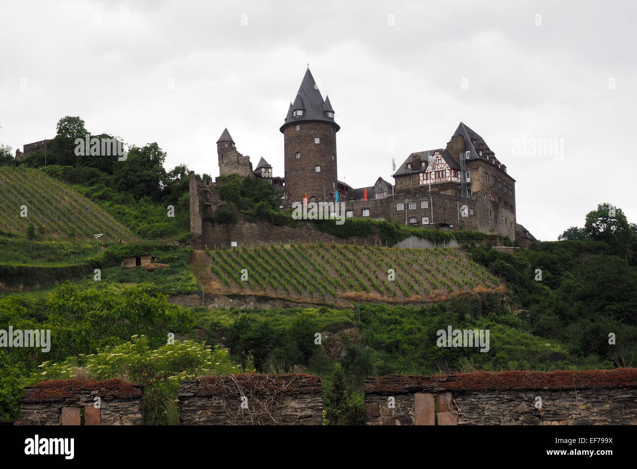 Burg Stahleck und Weinberge. Stockfoto