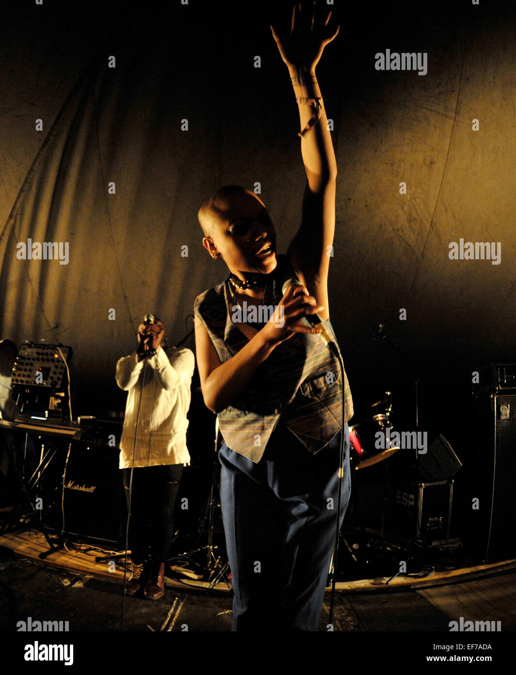 Junge Väter führen beim Weidenmanns Music Festival in Dumfries, Schottland.  Mitwirkende: Junge Väter wo: Dumfries, Großbritannien wenn: 24. Juli 2014 Stockfoto