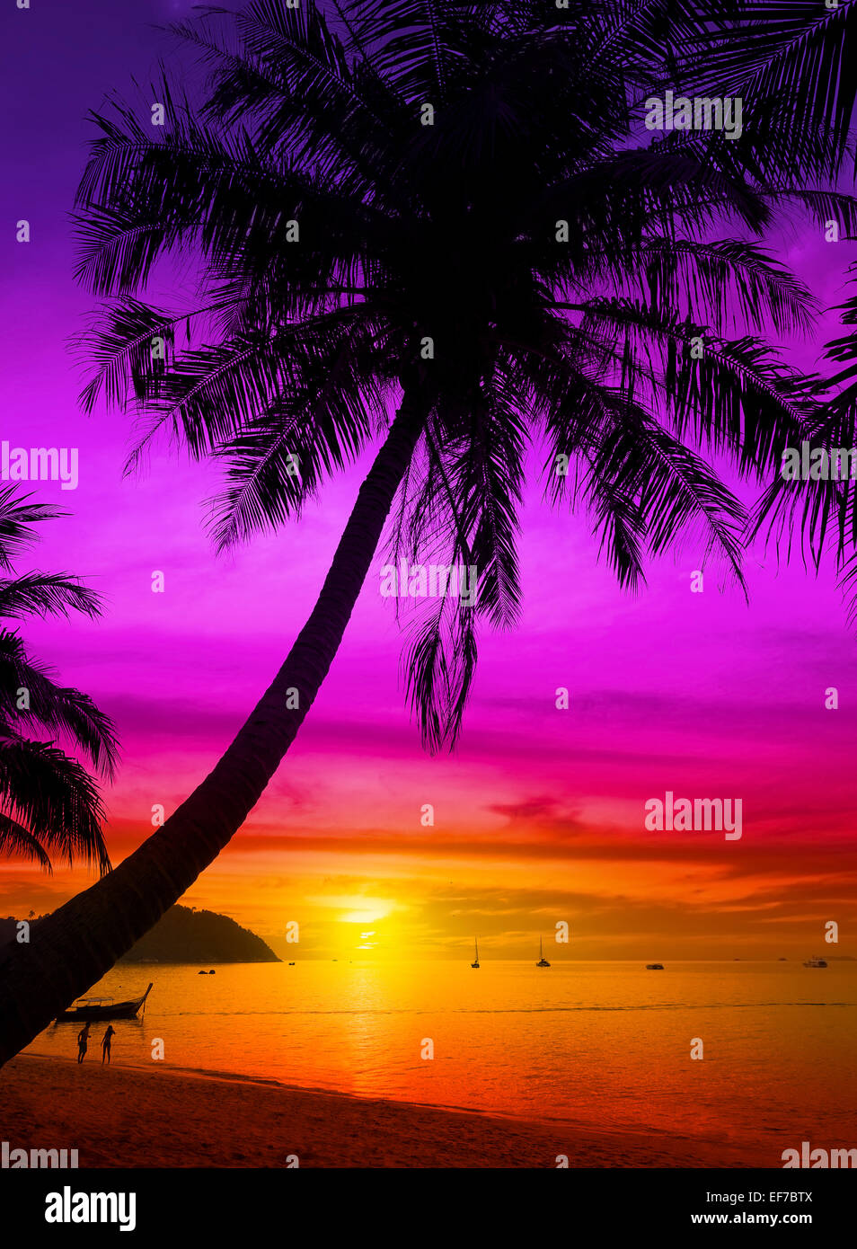 Palm Tree Silhouette am tropischen Strand bei Sonnenuntergang. Stockfoto