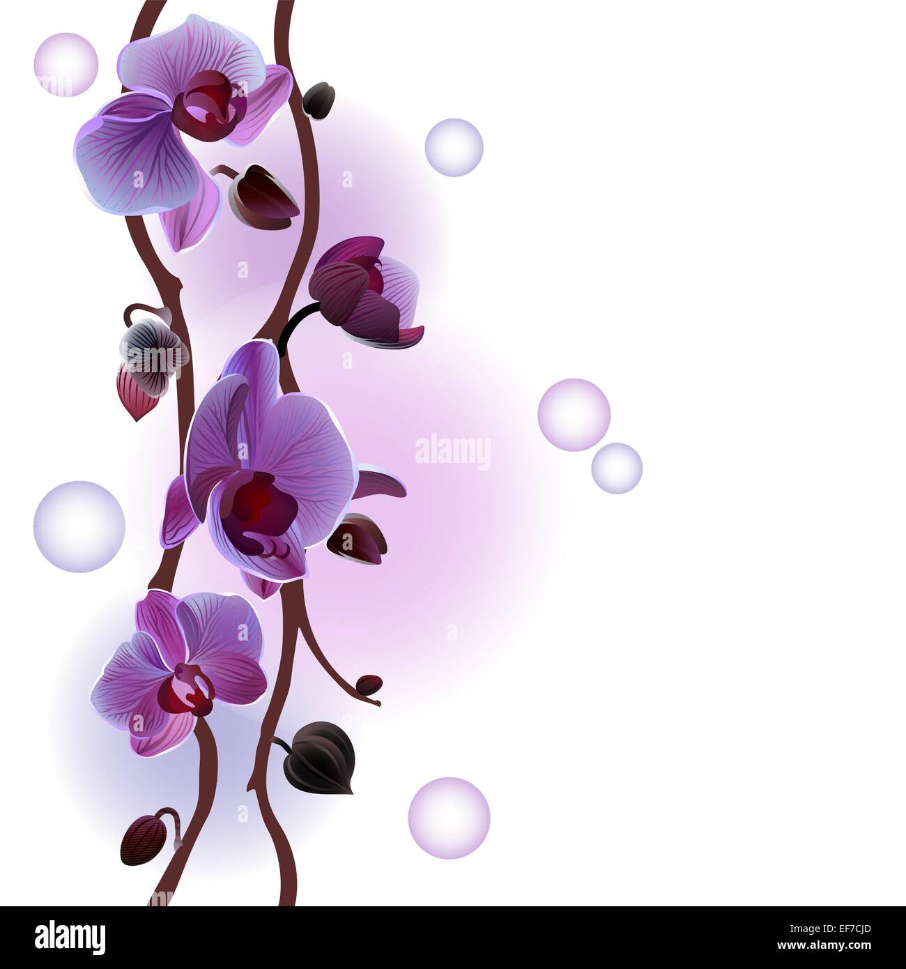 Vektor nahtlose Hintergrund mit sanften Orchideen-Niederlassungen Stock Vektor