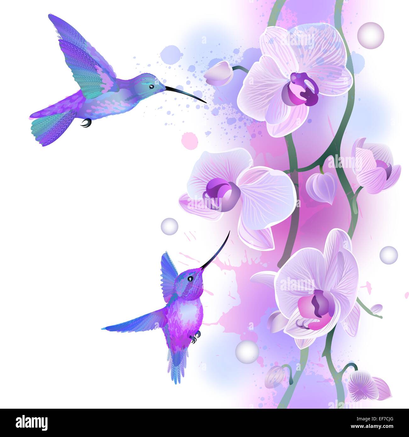 Vektor nahtlose Muster mit Blumen sanfte violette Orchideen und Kolibris Stock Vektor