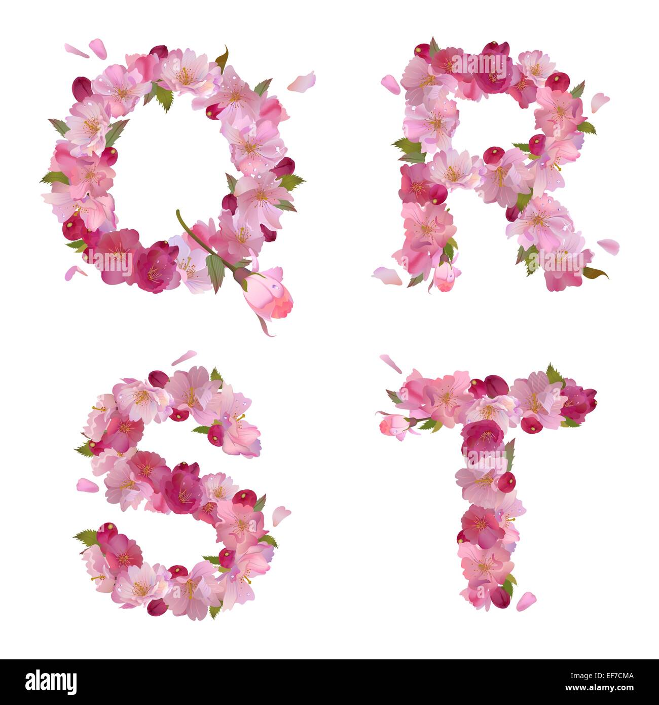 VektorFrühling Alphabet mit sanften rosa Sakura Blumen Buchstaben Q, R