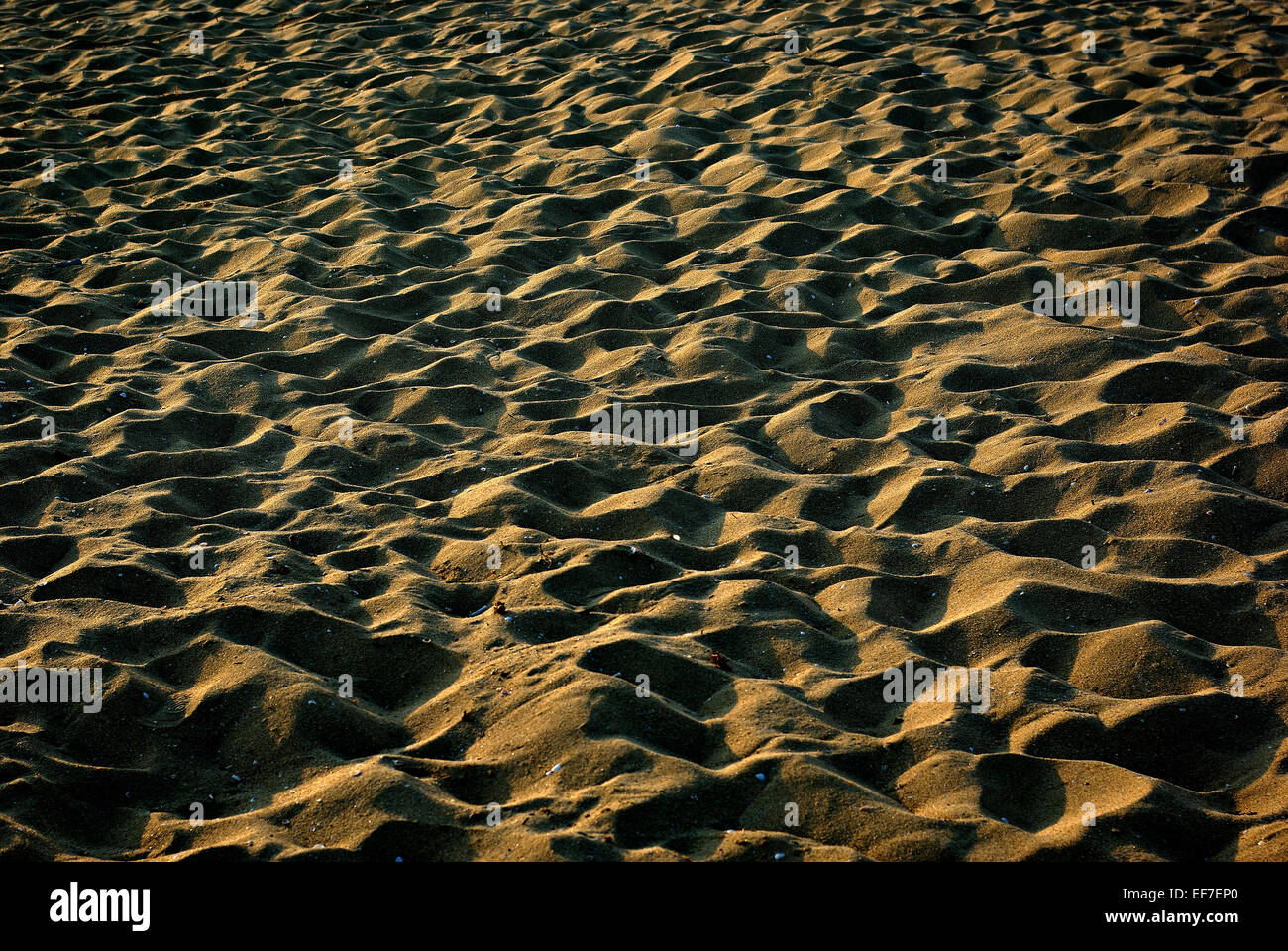 Sandstrand mit Fußspuren und harte Schatten an sonnigen Sommernachmittag. Stockfoto