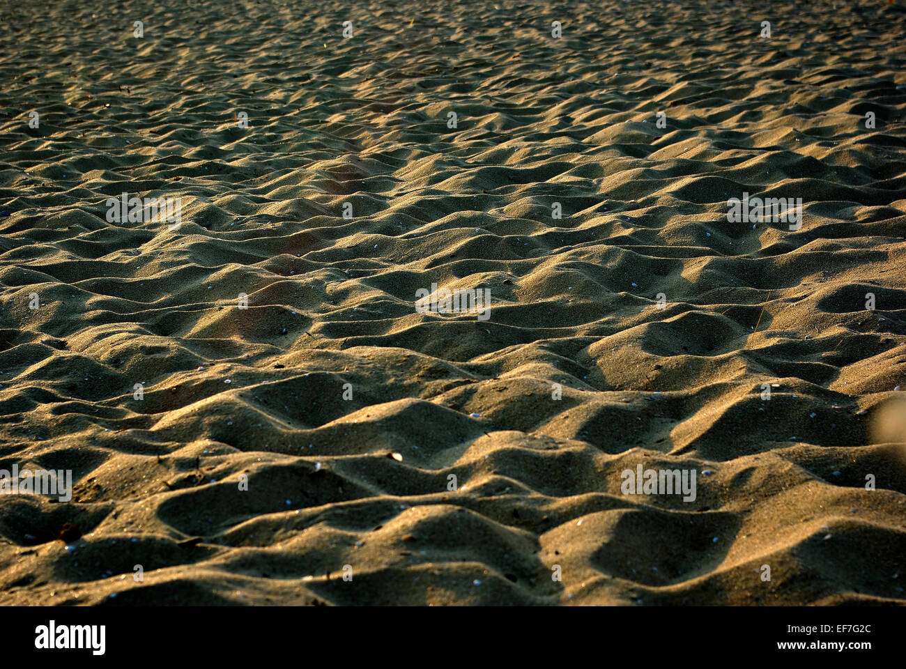 Sandstrand mit Fußspuren und harte Schatten an sonnigen Sommernachmittag. Stockfoto