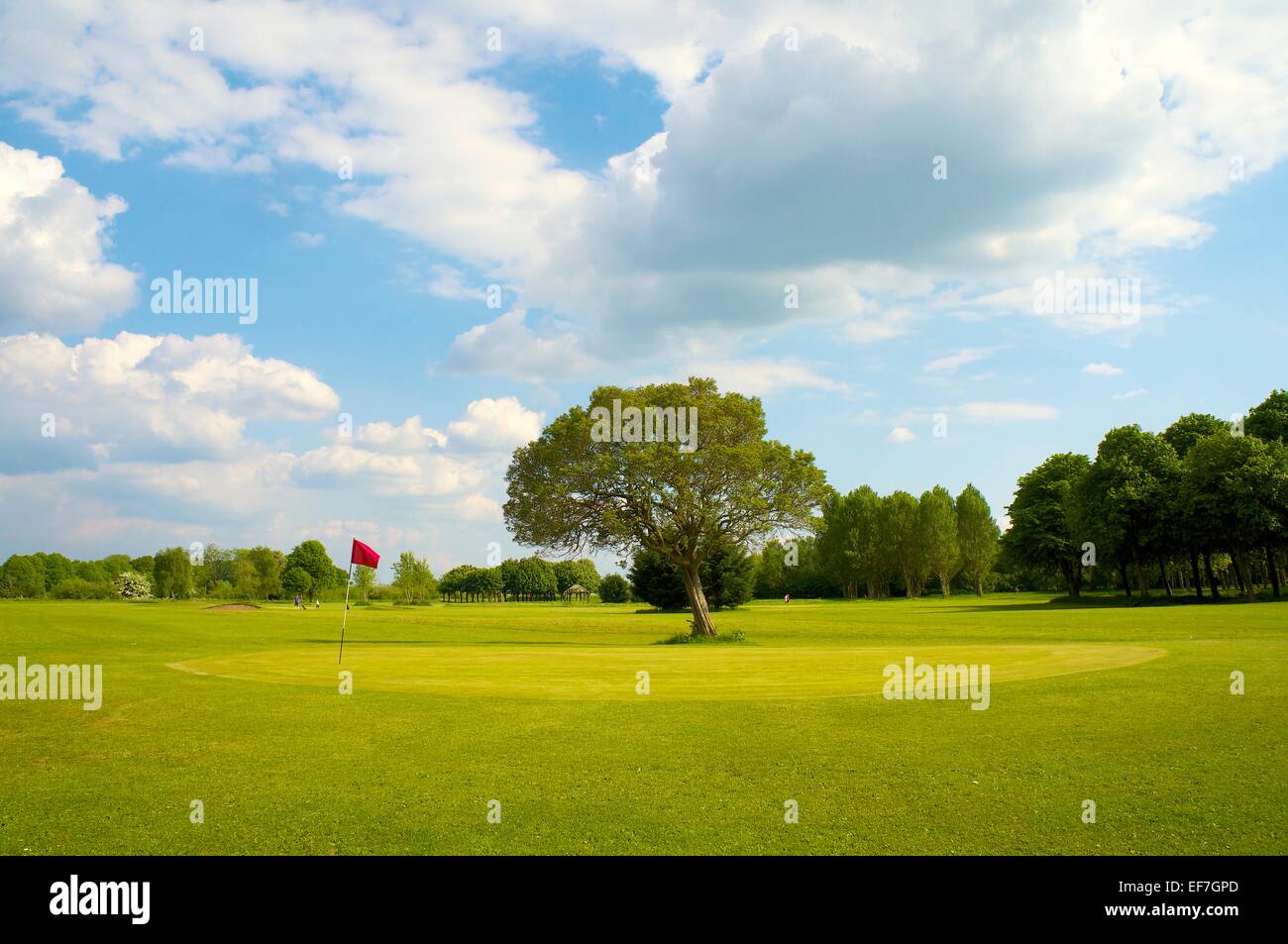 Golf-Fahne auf dem Grün. Mauersegler Golfplatz, Carlisle, Cumbria, England, UK. Stockfoto