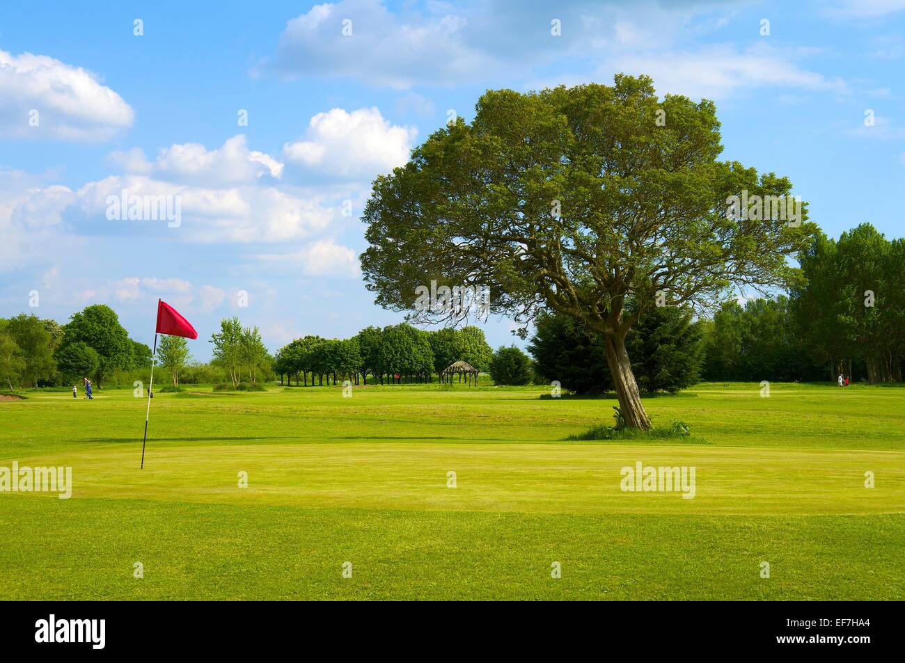 Golf-Fahne auf dem Grün. Mauersegler Golfplatz, Carlisle, Cumbria, England, UK. Stockfoto