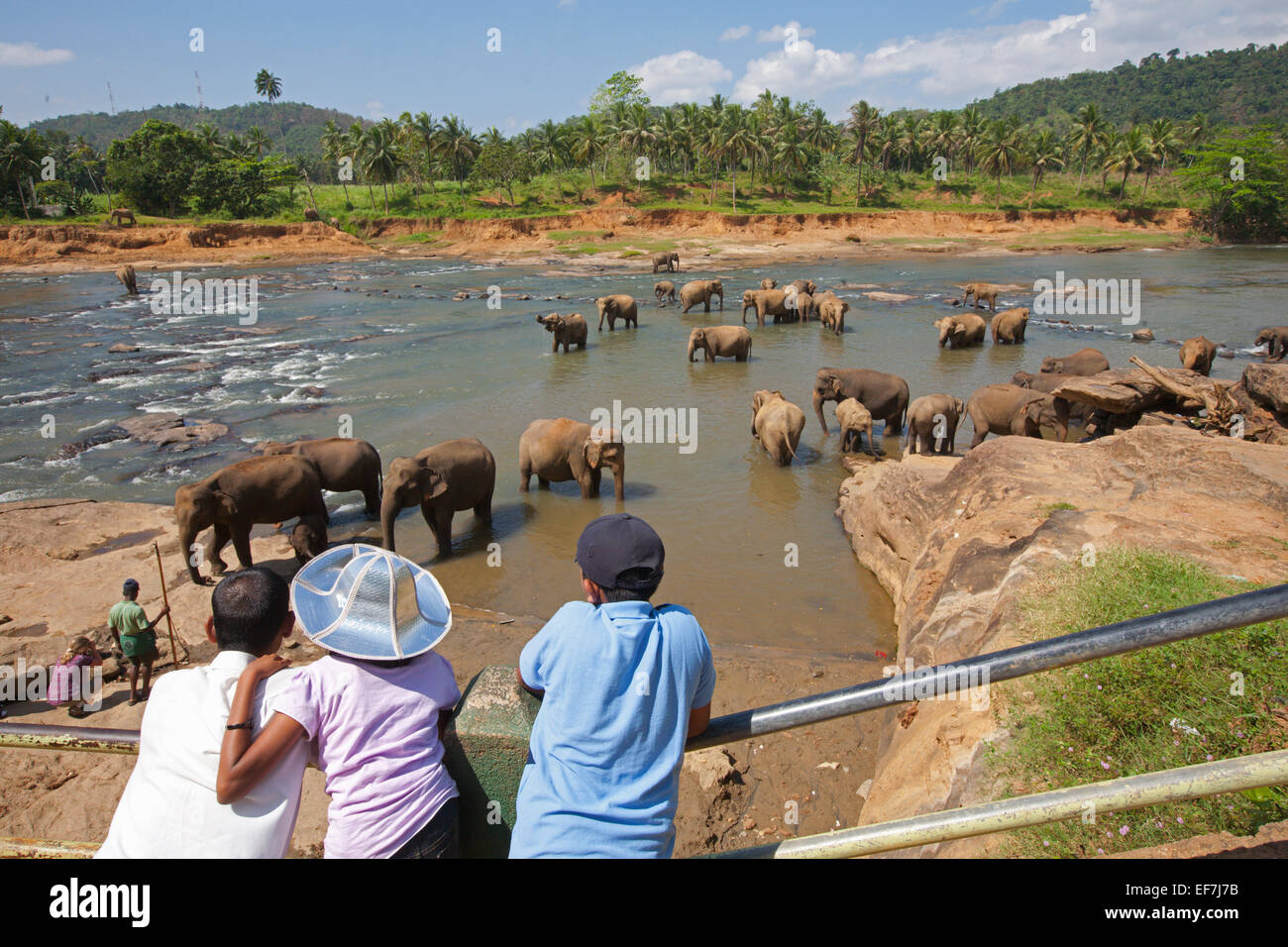 TOURISTEN, DIE GERADE ELEFANTEN BADEN IM FLUSS Stockfoto