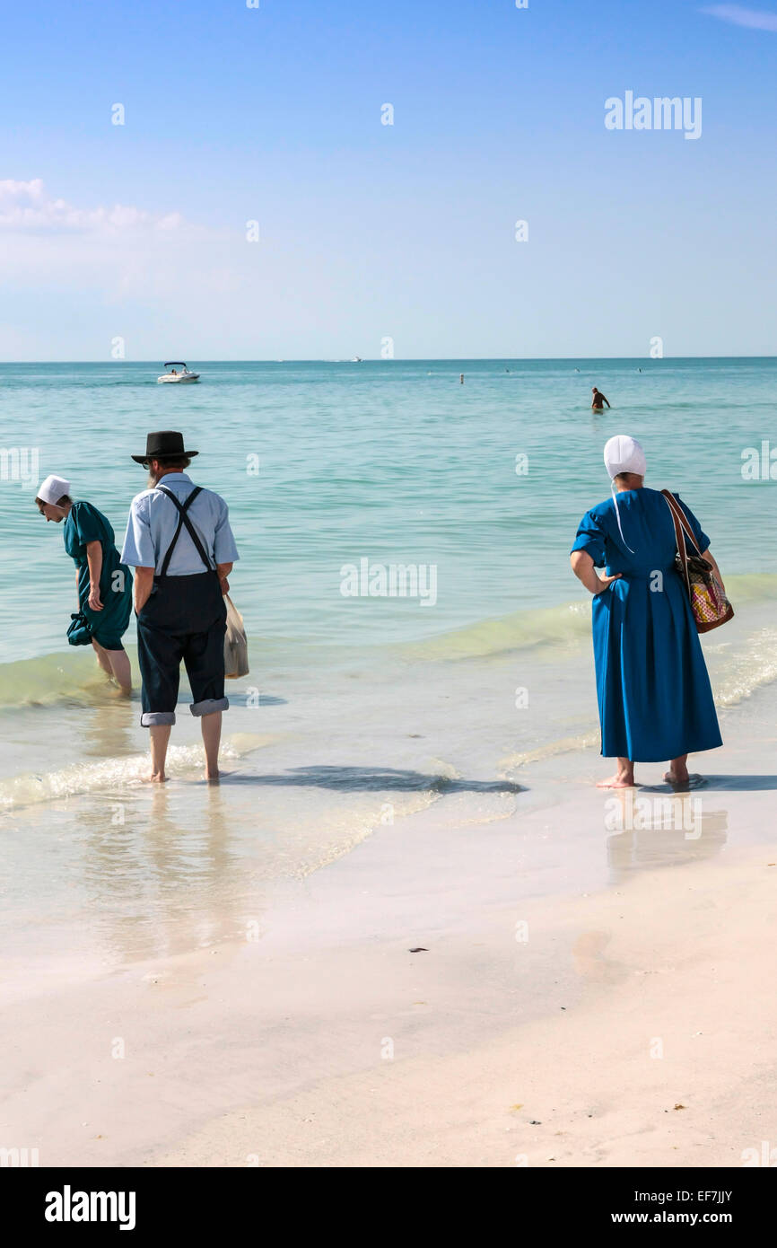 Amischen Leute auf der Suche nach Muscheln auf Siesta Key in Florida am Strand Stockfoto