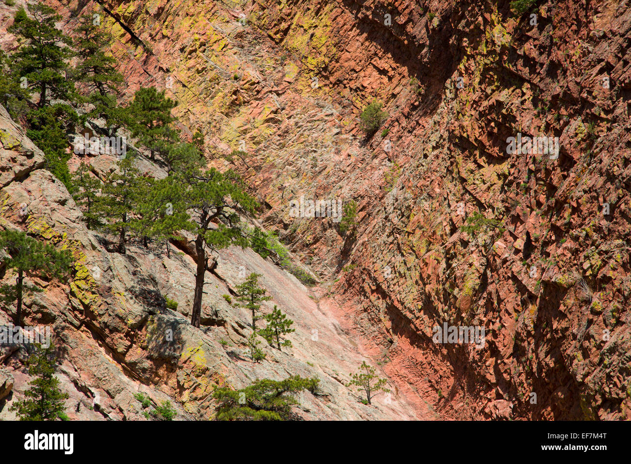 Canyon Klippen, Eldorado Canyon State Park, Colorado Stockfoto